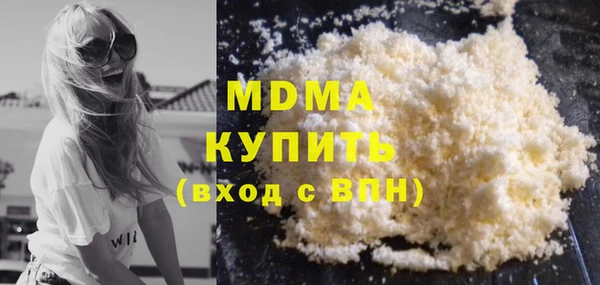 индика Алексин