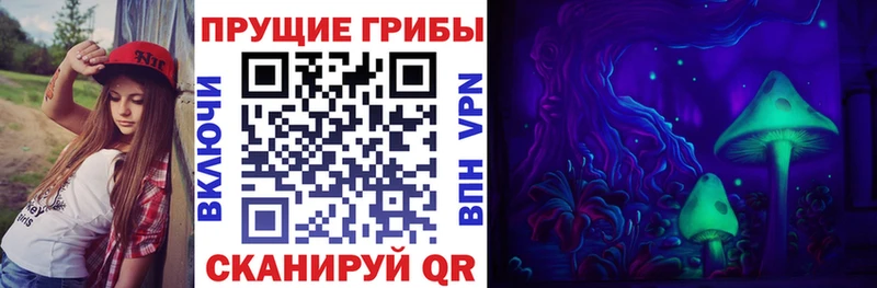 где купить   Кораблино  Псилоцибиновые грибы MAGIC MUSHROOMS 